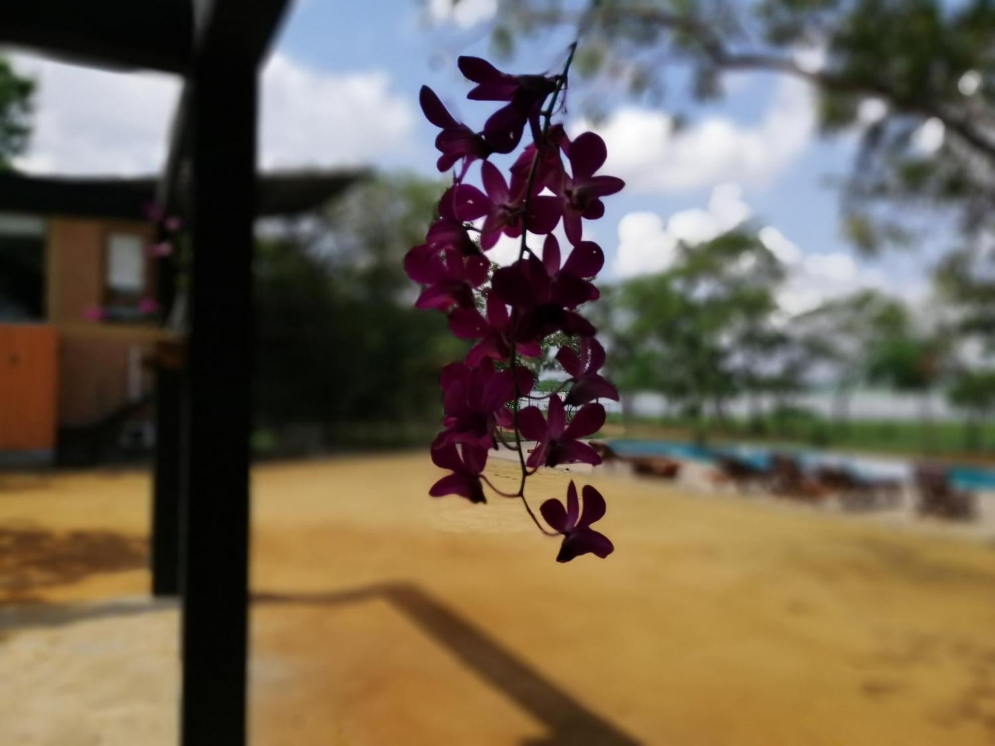 Chalet Breezy Tissamaharama