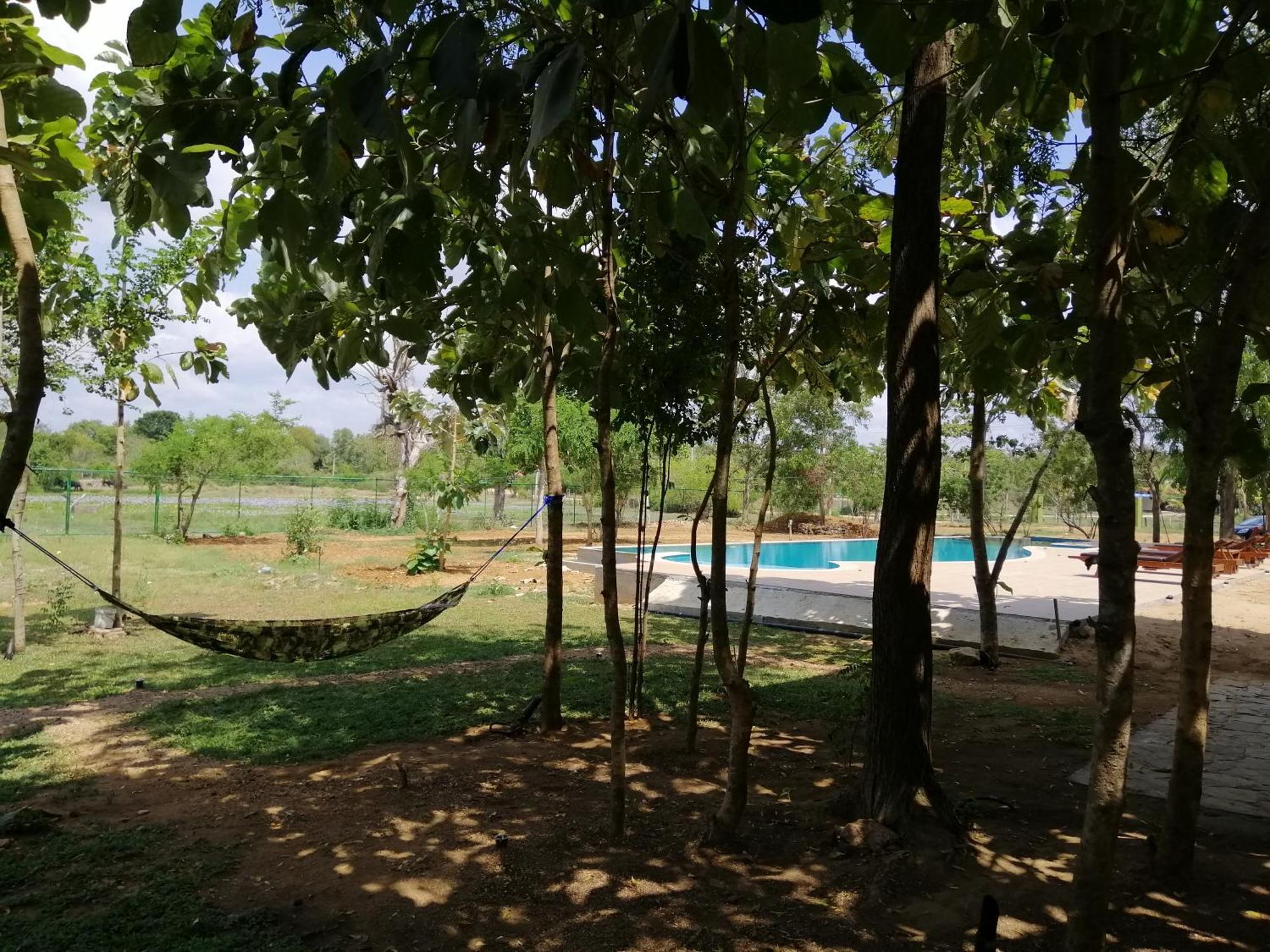 Breezy * Tissamaharama