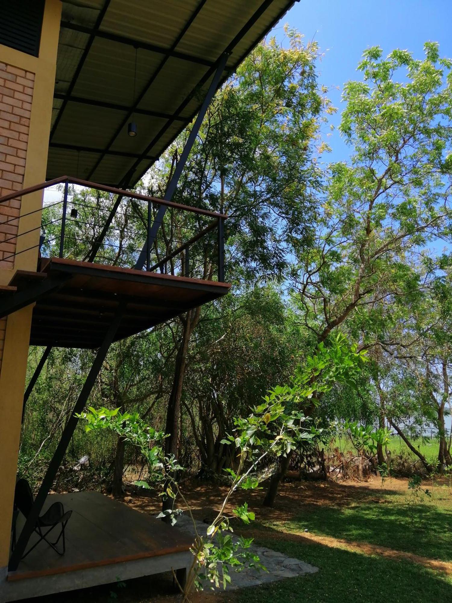 Breezy * Tissamaharama