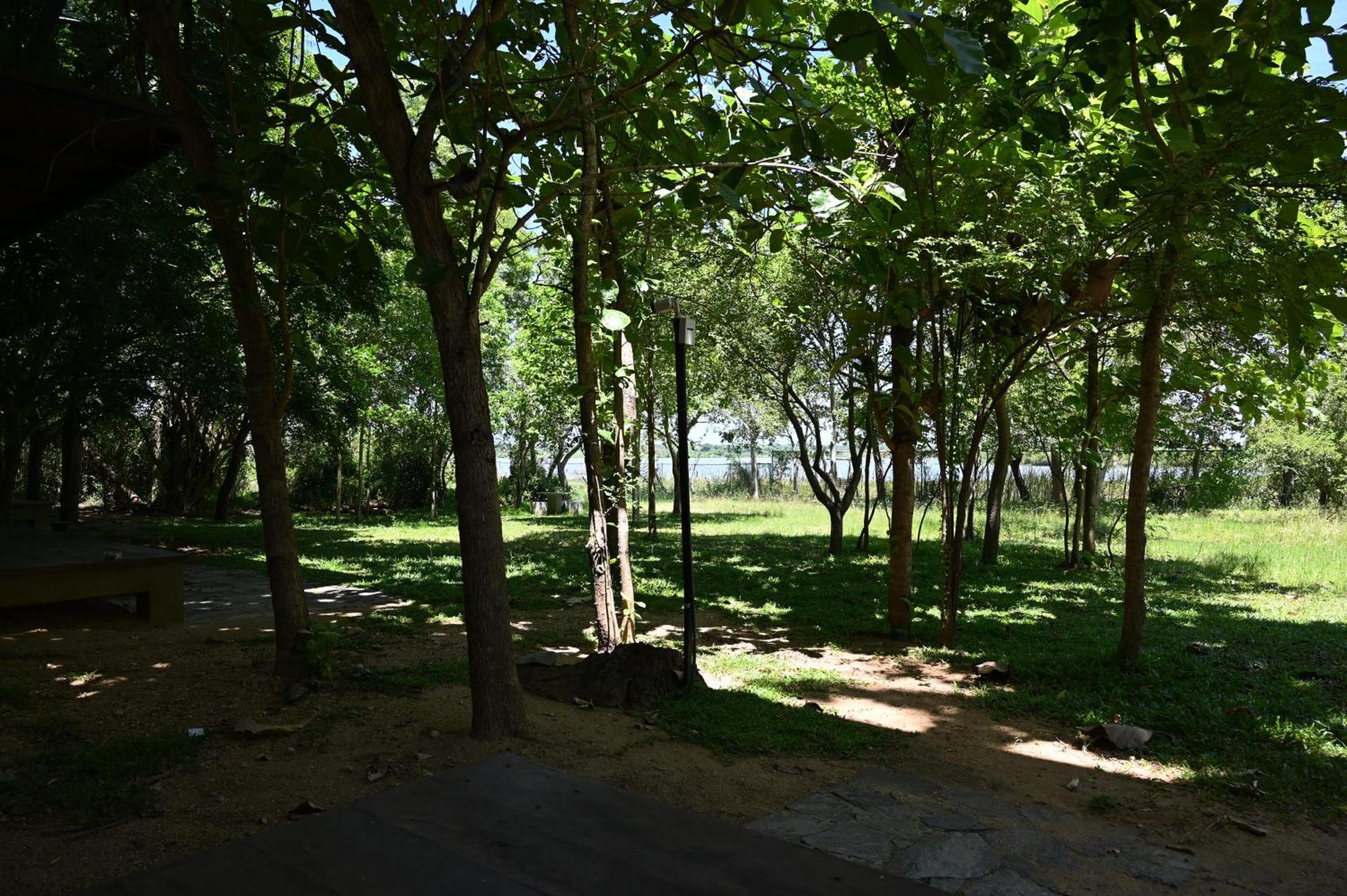 Chalet Breezy Tissamaharama