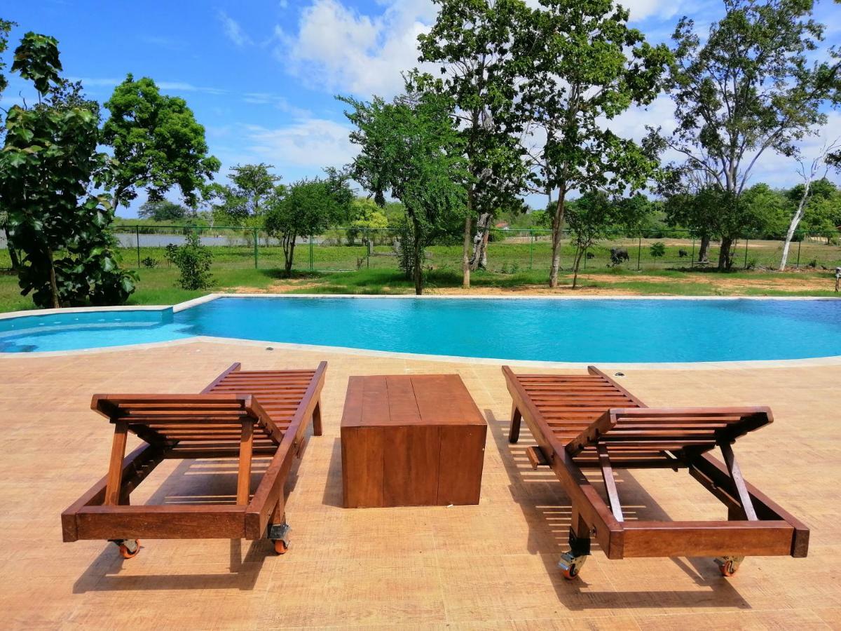 Breezy Chalet