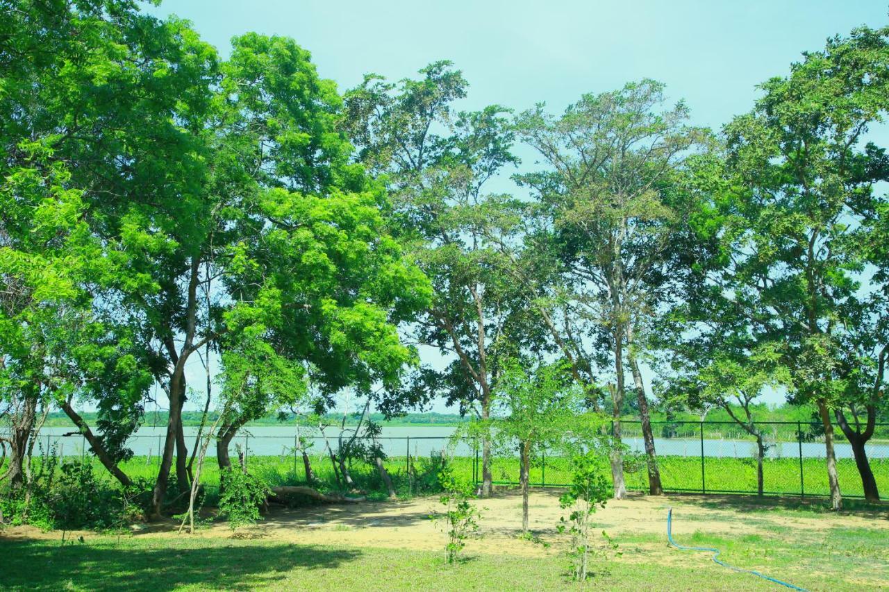 Breezy Tissamaharama