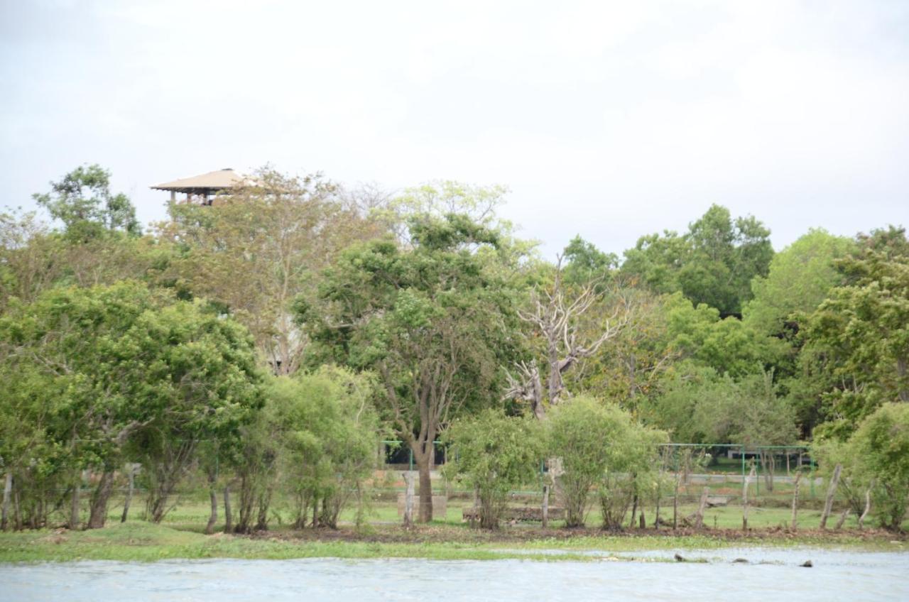 Chalet Breezy Tissamaharama
